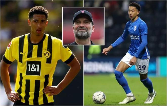 跟队记者：麦迪逊伤情严重，热刺引援重点为10号位和中后卫（队记：麦迪逊伤势较重，热刺引援优先锁定10号位和中卫）